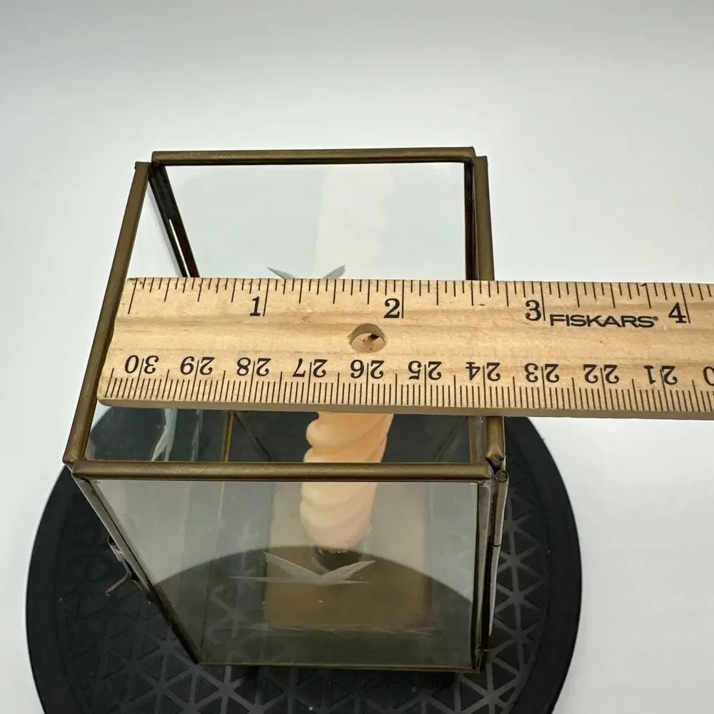 2 Vintage Brass & Glass Taper Candle Display Case Footed Flower Etched